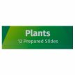 Levenhuk LabZZ P12 Növények – előkészített tárgylemez-készlet