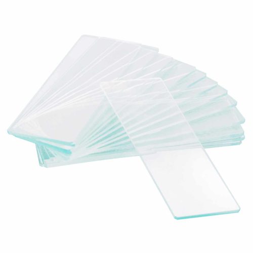 Levenhuk G50 1H egy üreges üres tárgylemez (50 darab)