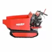 HECHT 2950 - Benzinmotoros szállító