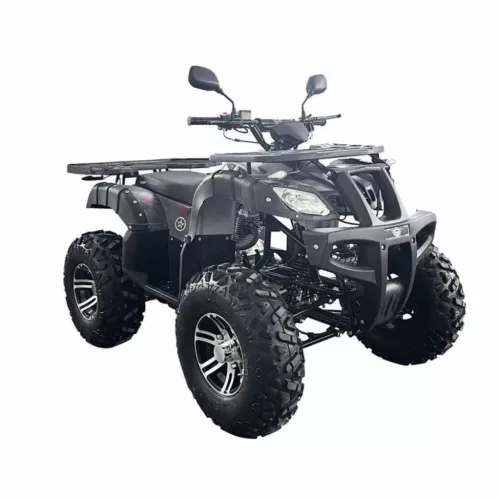 HECHT benzinmotoros quad, 59499