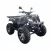 HECHT benzinmotoros quad, 59499