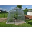 üvegház LANITPLAST LIMES Viva V7/3 2,47x3 m PC 4 mm LG4703