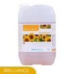 Brilliance BioSoap - Fapadló szappan - Paletta 280 x 1 Liter