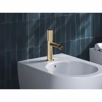   Revers bidécsaptelep 190 mm lefolyó nélkül RV 056.60CH, champagne
