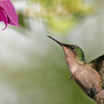 Szerszámok és kiegészítők