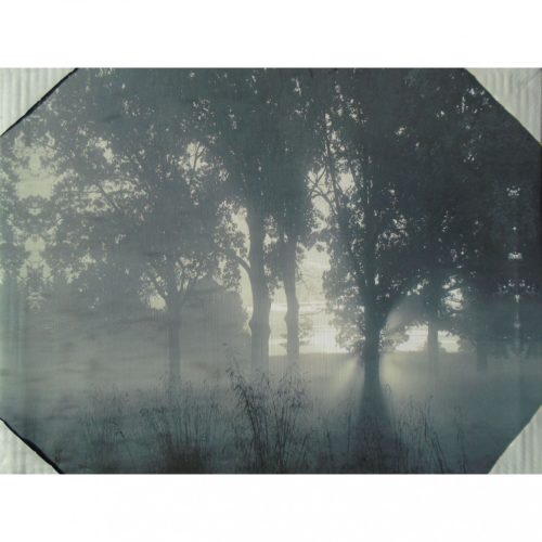 Dekor kép 40x50, erdő 