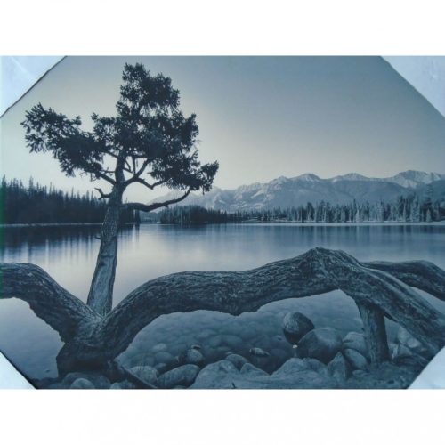 Dekor kép 40x50 folyóparti fa