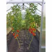 GAMPRE Sanus L8 polikarbonát üvegház 7,9 m², 6 mm