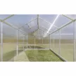 GAMPRE Sanus XL25 polikarbonát üvegház 24,6 m², 6 mm